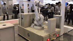a2.gif